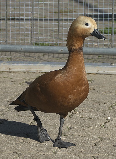 实例分析